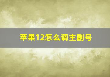 苹果12怎么调主副号