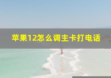 苹果12怎么调主卡打电话