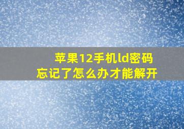 苹果12手机ld密码忘记了怎么办才能解开