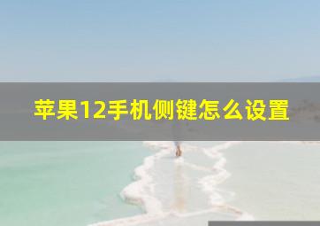 苹果12手机侧键怎么设置