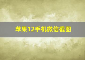 苹果12手机微信截图