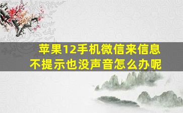 苹果12手机微信来信息不提示也没声音怎么办呢