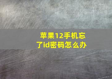 苹果12手机忘了id密码怎么办