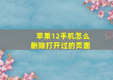 苹果12手机怎么删除打开过的页面