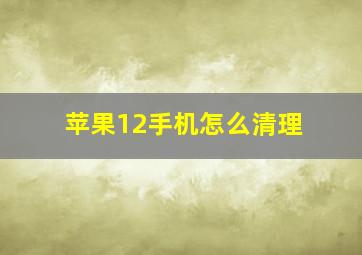 苹果12手机怎么清理