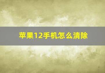 苹果12手机怎么清除