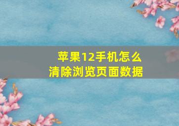 苹果12手机怎么清除浏览页面数据