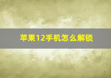 苹果12手机怎么解锁