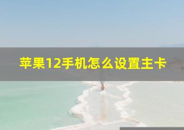 苹果12手机怎么设置主卡