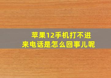 苹果12手机打不进来电话是怎么回事儿呢