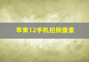 苹果12手机拍照像素