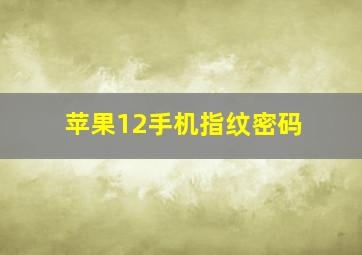 苹果12手机指纹密码