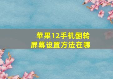 苹果12手机翻转屏幕设置方法在哪