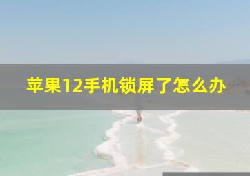 苹果12手机锁屏了怎么办