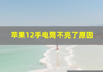 苹果12手电筒不亮了原因