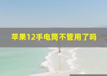 苹果12手电筒不管用了吗