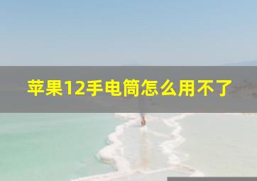 苹果12手电筒怎么用不了