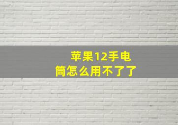 苹果12手电筒怎么用不了了