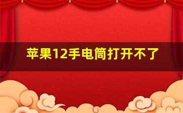 苹果12手电筒打开不了