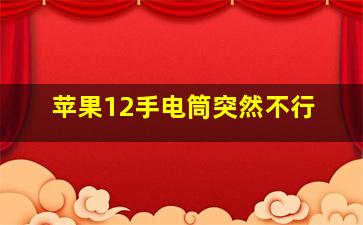 苹果12手电筒突然不行