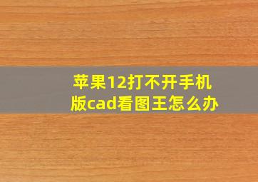 苹果12打不开手机版cad看图王怎么办