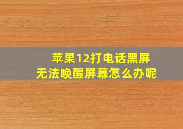 苹果12打电话黑屏无法唤醒屏幕怎么办呢