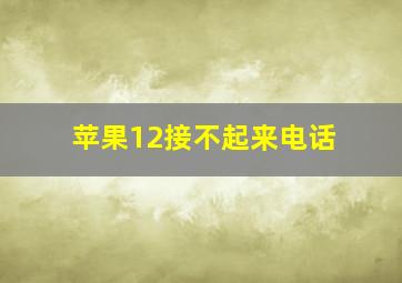 苹果12接不起来电话