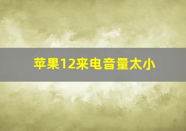 苹果12来电音量太小