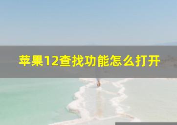 苹果12查找功能怎么打开