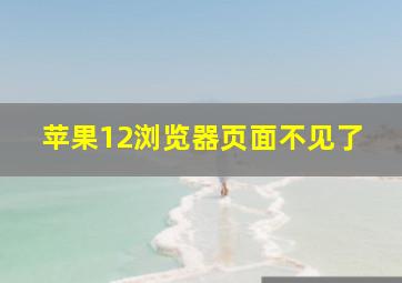 苹果12浏览器页面不见了