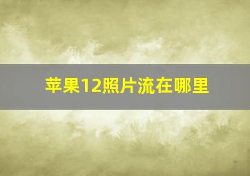 苹果12照片流在哪里