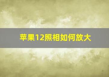 苹果12照相如何放大