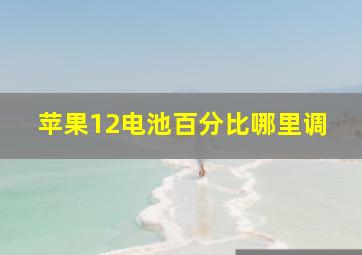 苹果12电池百分比哪里调