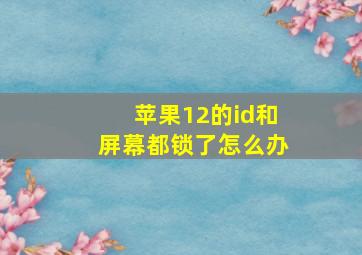 苹果12的id和屏幕都锁了怎么办