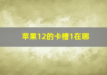 苹果12的卡槽1在哪