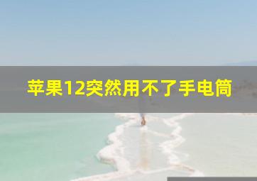 苹果12突然用不了手电筒