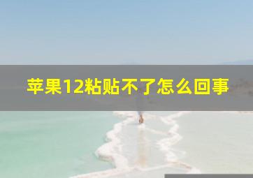 苹果12粘贴不了怎么回事