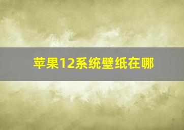 苹果12系统壁纸在哪