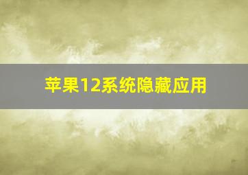 苹果12系统隐藏应用