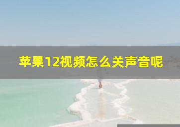 苹果12视频怎么关声音呢