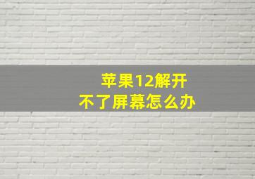 苹果12解开不了屏幕怎么办