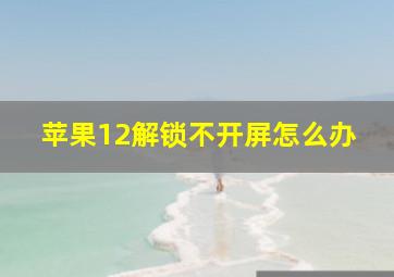 苹果12解锁不开屏怎么办