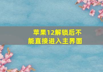 苹果12解锁后不能直接进入主界面