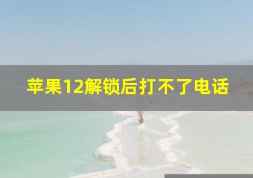 苹果12解锁后打不了电话