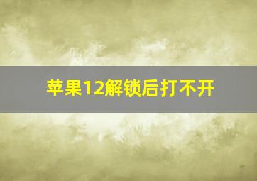 苹果12解锁后打不开