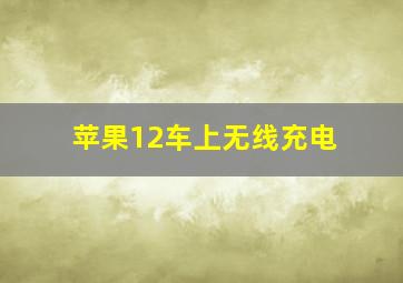 苹果12车上无线充电