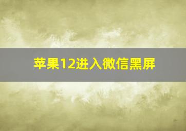 苹果12进入微信黑屏