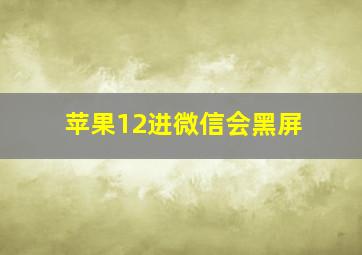 苹果12进微信会黑屏