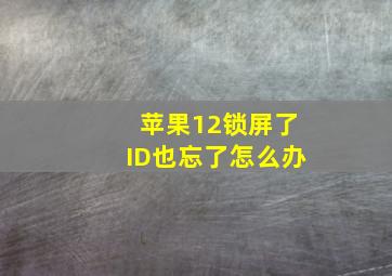 苹果12锁屏了ID也忘了怎么办