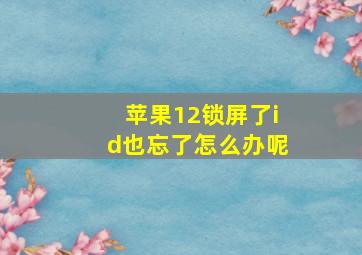 苹果12锁屏了id也忘了怎么办呢